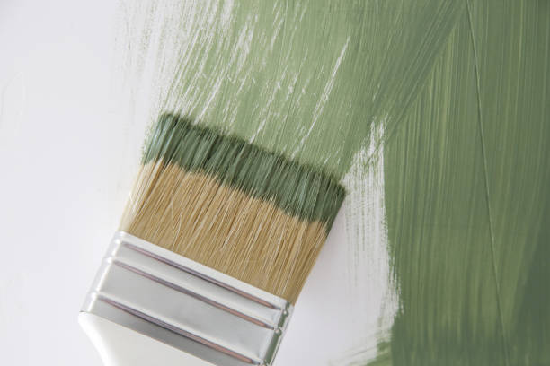 Best Black Mold Removal  in West Milton, PA