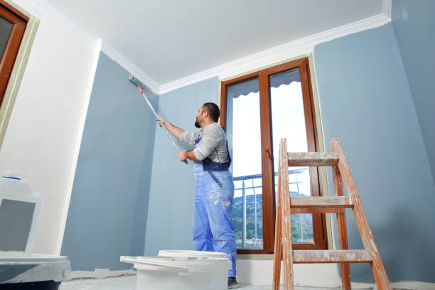 Best Attic Mold Removal  in West Milton, PA