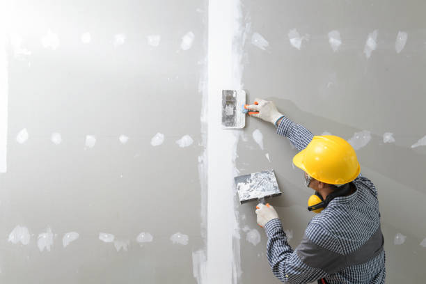 Trusted West Milton, PA Mold Removal Experts