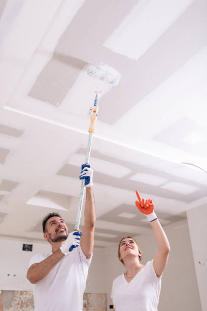 Best Basement Mold Removal  in West Milton, PA
